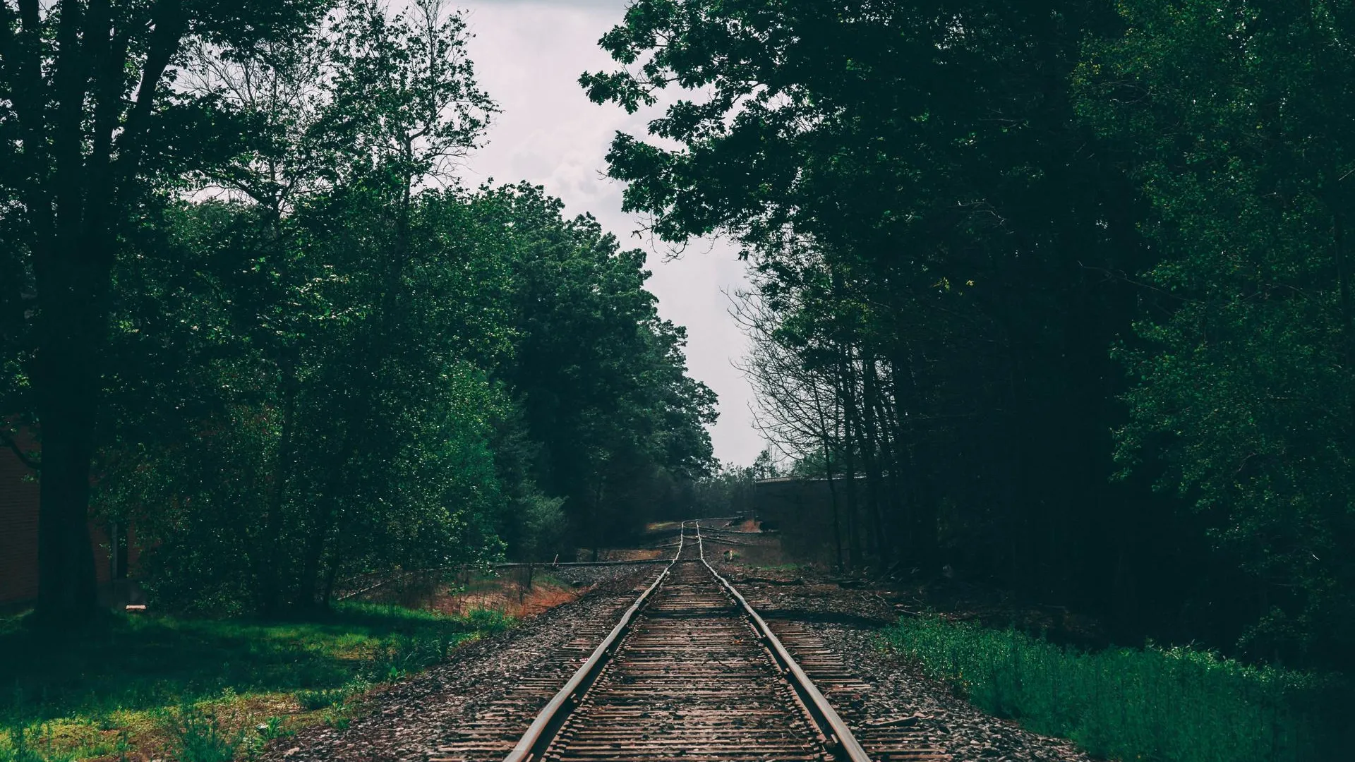 Теракт на российской железной дороге предотвращен в 53 км от границы с Украиной