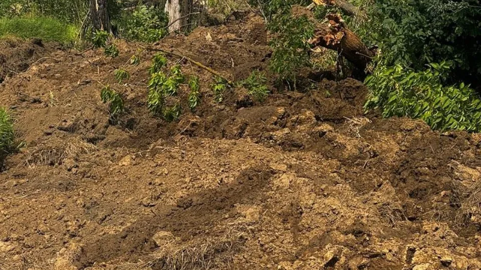 Фото: Минэкологии МО