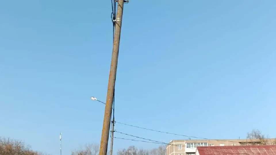 Фото: пресс-служба администрации г.о. Воскресенск