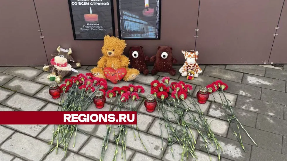 Фото: Влад Мурашов