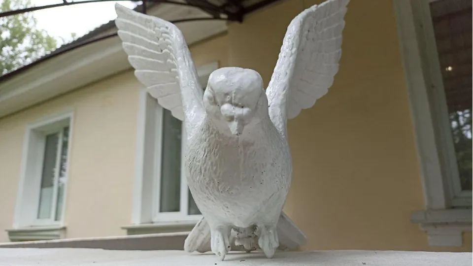 Фото: пресс-служба администрации г.о. Дубна