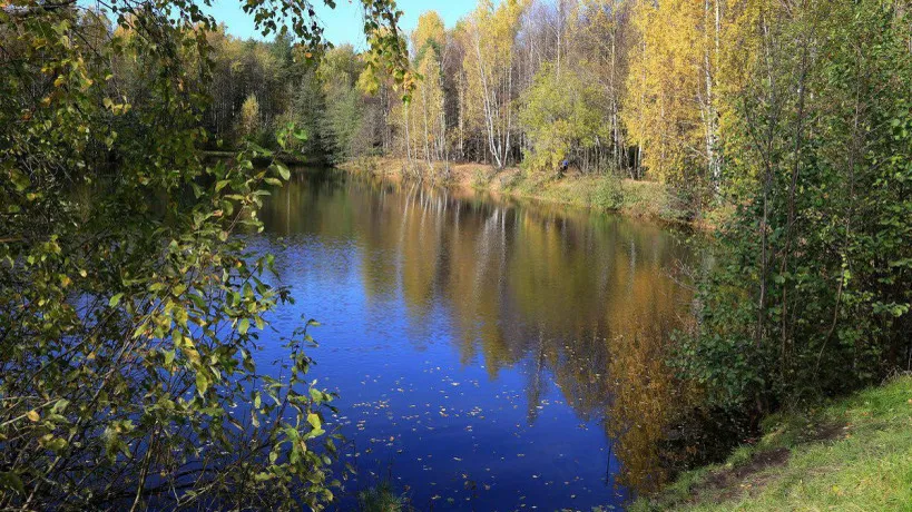 Фото: пресс-служба Министерства имущественных отношений Московской области