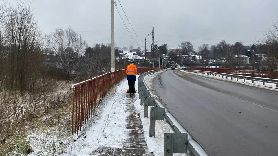 Фото: пресс-служба администрации г.о. Пушкинский
