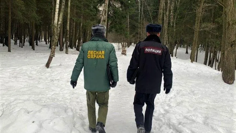Пресс-служба Комлесхоза МО