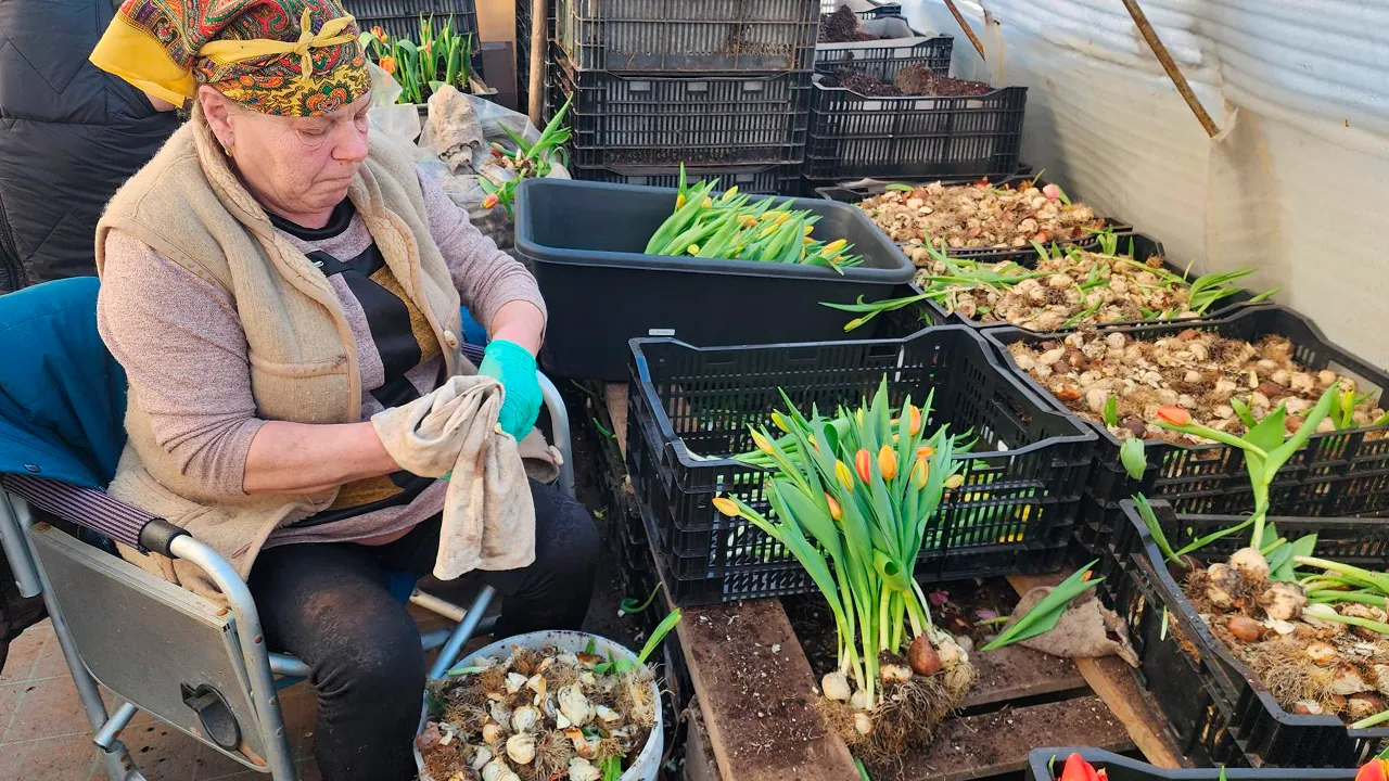 Станислав Орлов