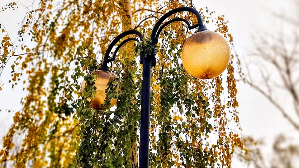 Фото: REGIONS/Алексей Селиверстов