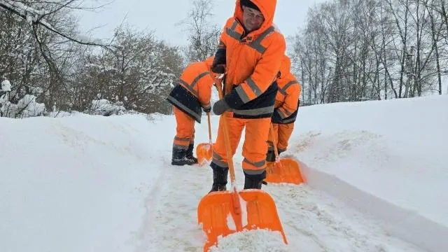 REGIONS/Яна Шаливская