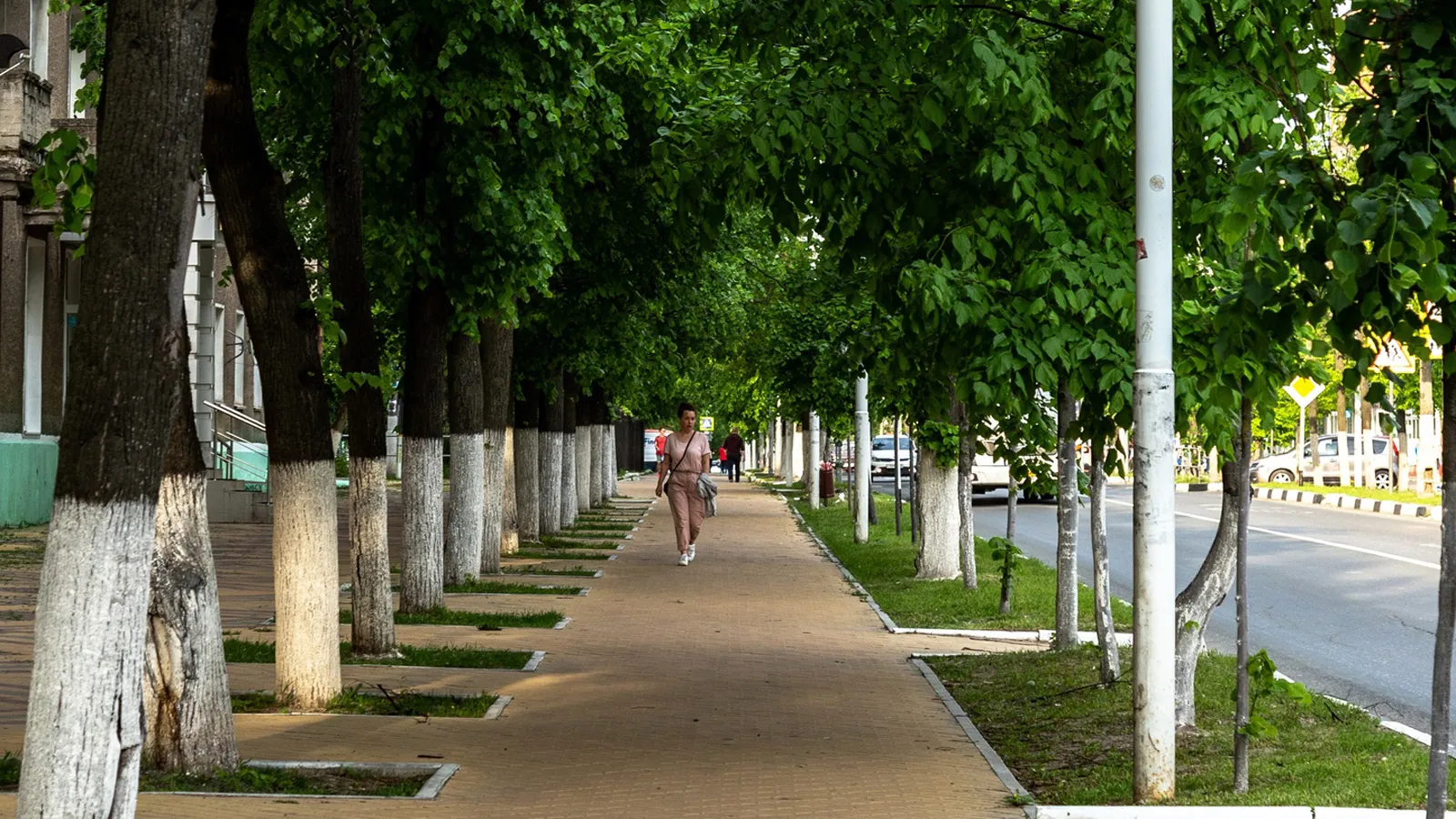 Фото: Антон Кондратюк