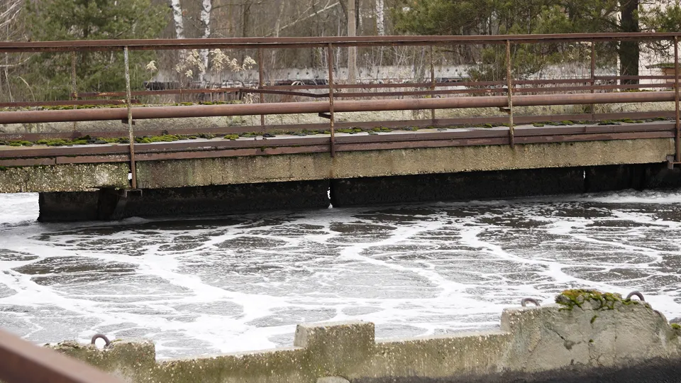 Фото: МедиаБанк Подмосковья/Алена Притула