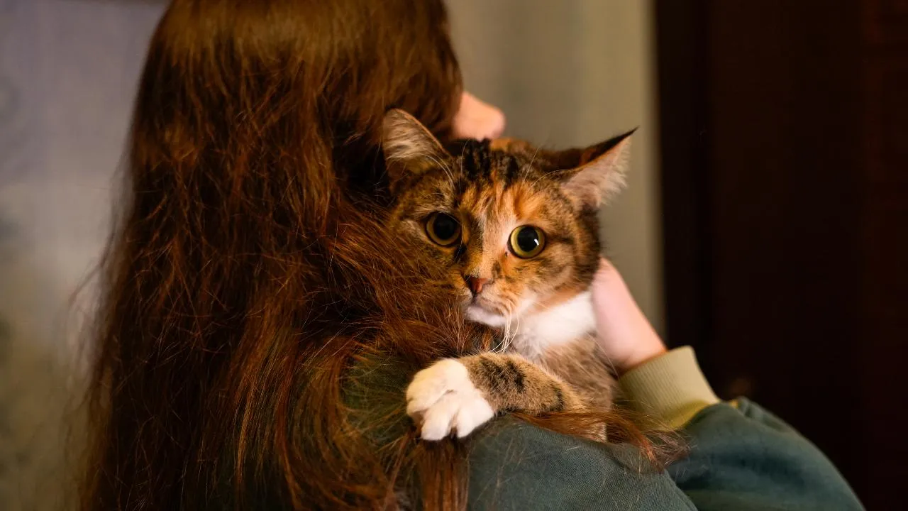 Более 225 тыс. домашних животных прошли вакцинацию в 2025 году в Подмосковье