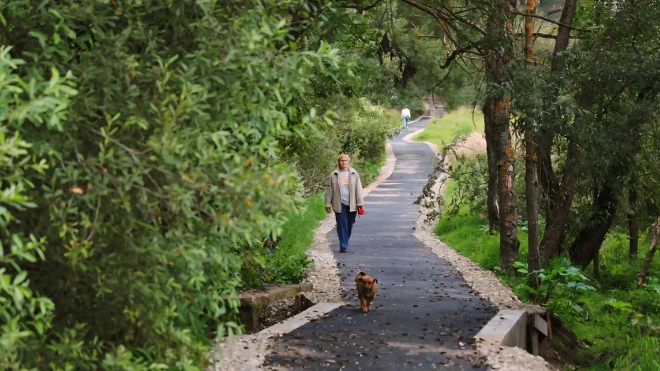 Фото: t.me/KozlovaVolok