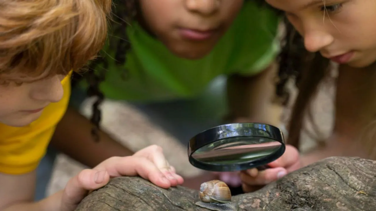 Фото: freepik.com