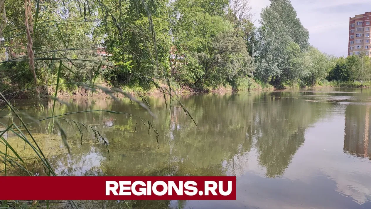 Фото: Юлия Андросова