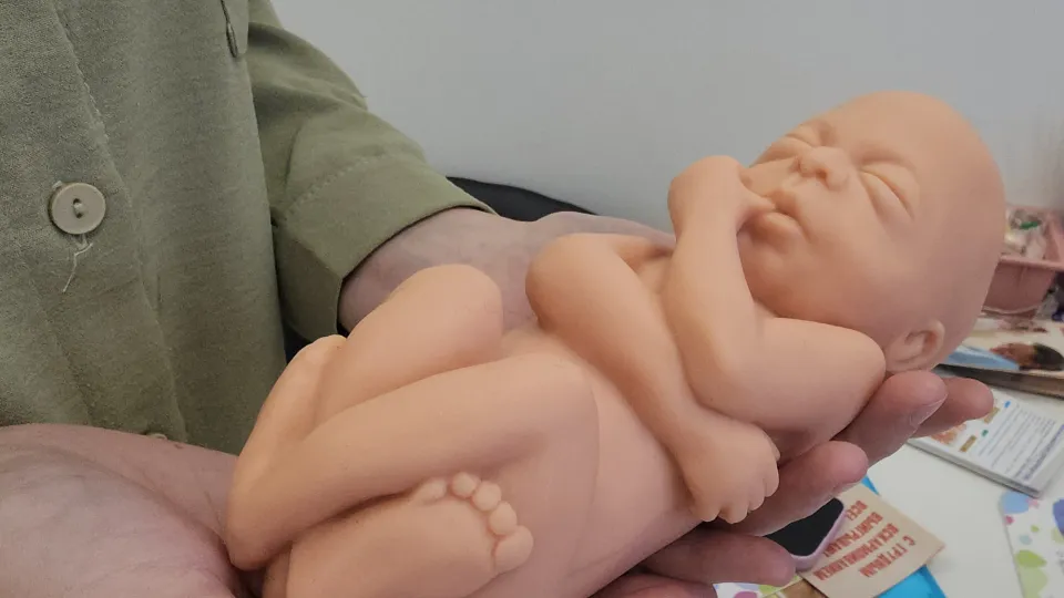 Фото: МедиаБанк Подмосковья/Наталья Лымарь