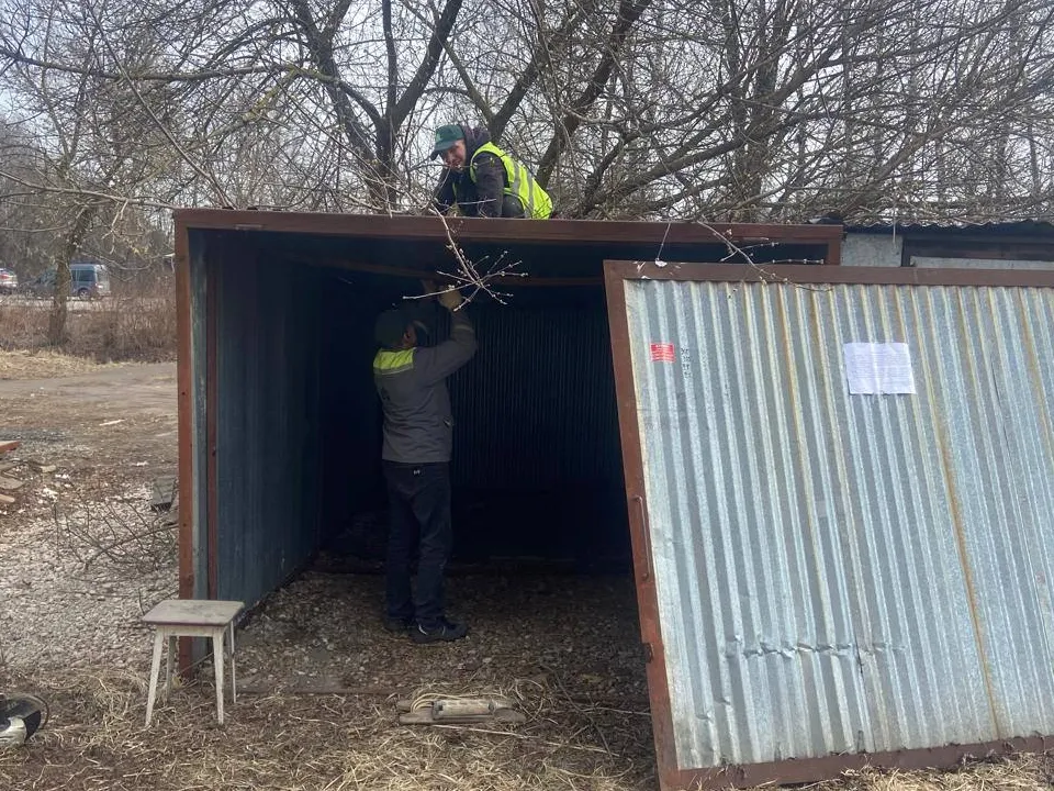 Фото: пресс-служба администрации г.о. Фрязино&nbsp;