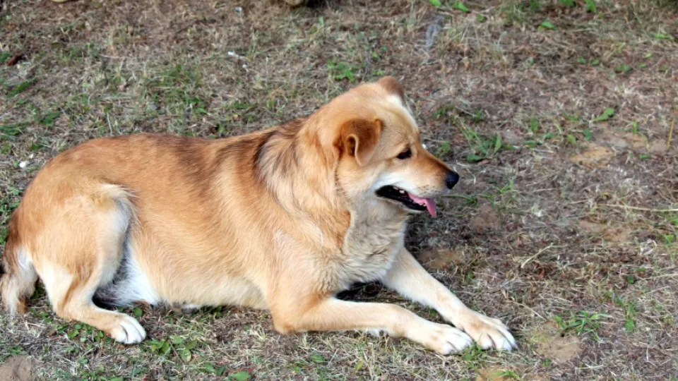 Фото: REGIONS/Наталья Дорофеева