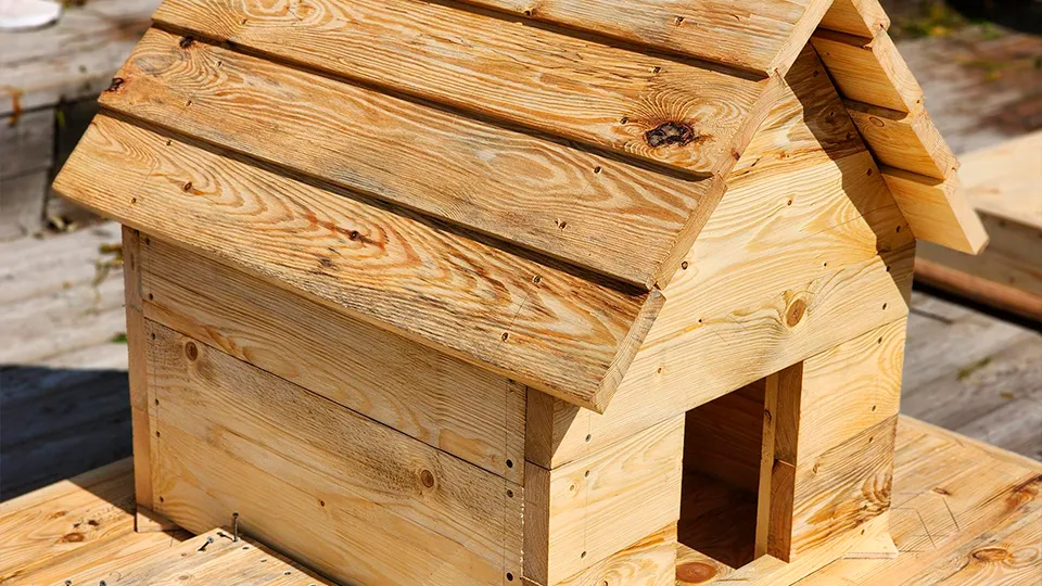 Фото: Роман Савельев