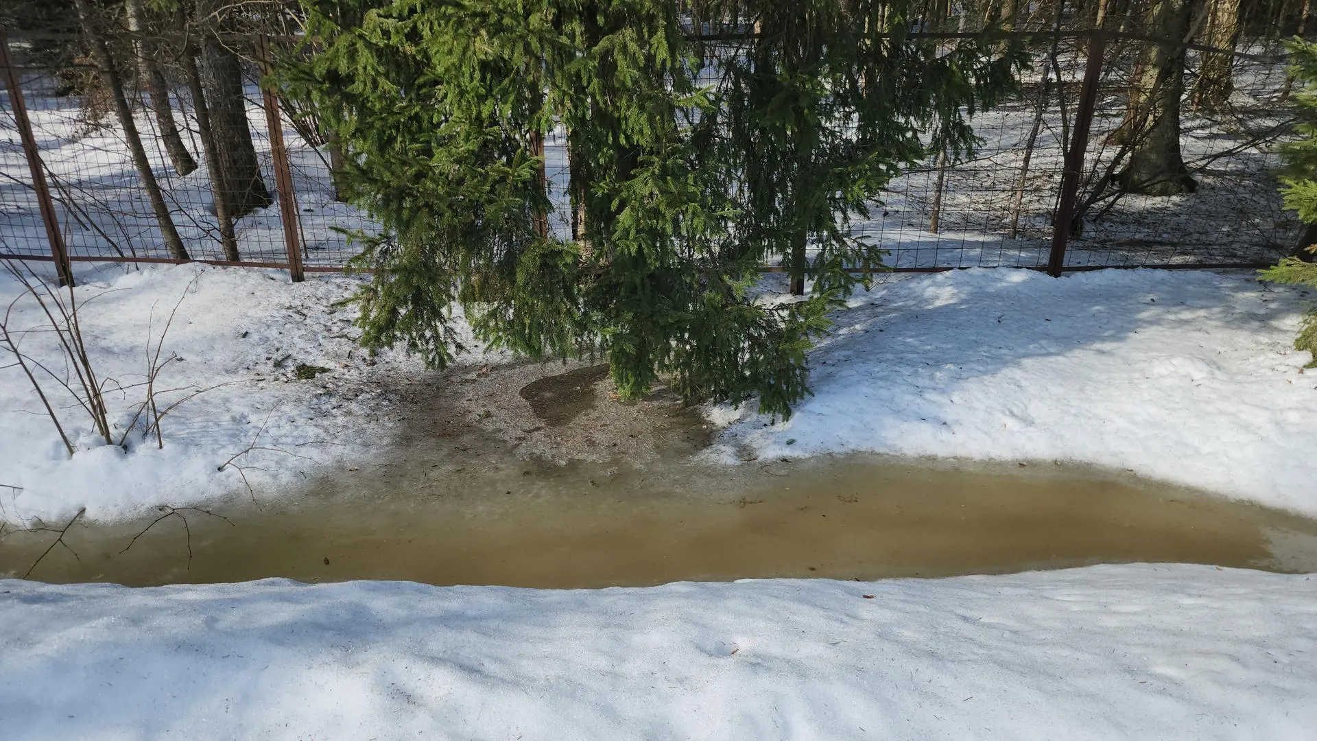 МедиаБанк Подмосковья/Екатерина Данилина