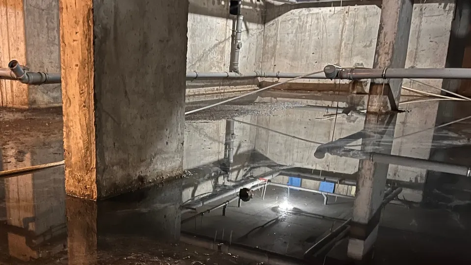 Фото: МедиаБанк Подмосковья/Ангелина Стельмух