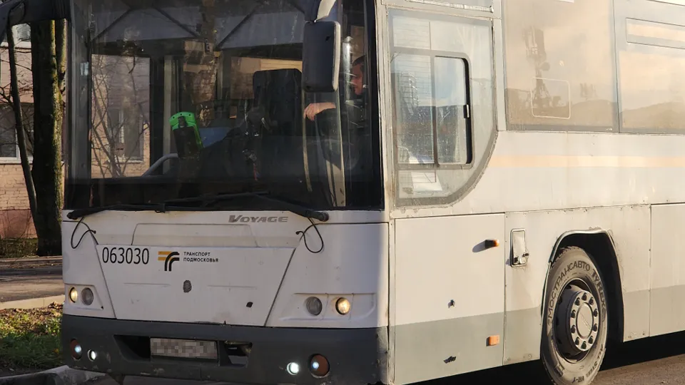 Фото: МедиаБанк Подмосковья/Хавива Фонина