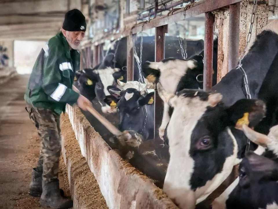 Фото: МедиаБанк Подмосковья/Ольга Антонова