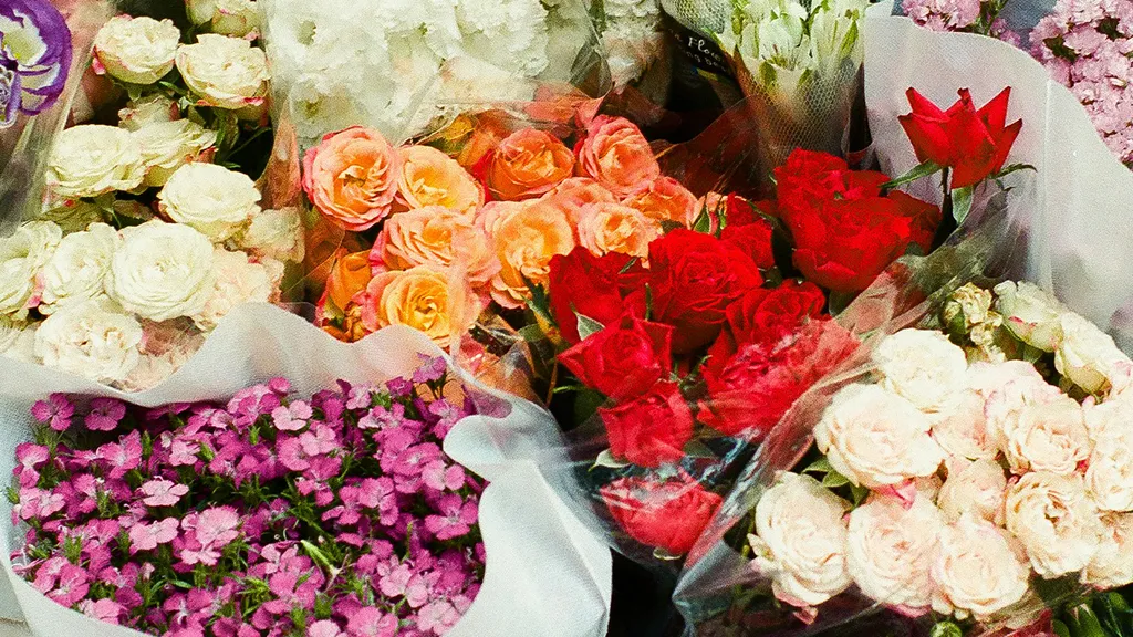 Фото: unsplash.com