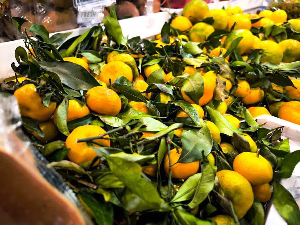 Фото: REGIONS/Роман Малышенко