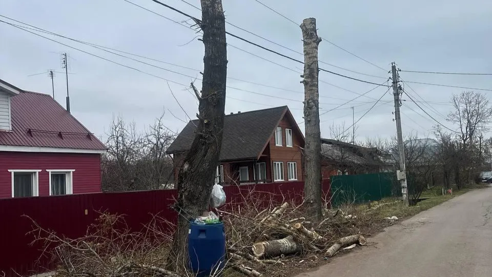 Фото: Эдуард Стратонов