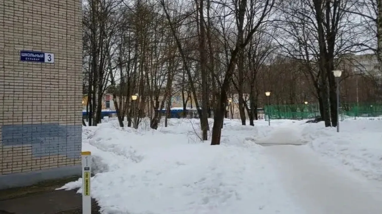 МБУ "Служба благоустройства" г. о. Черноголовка