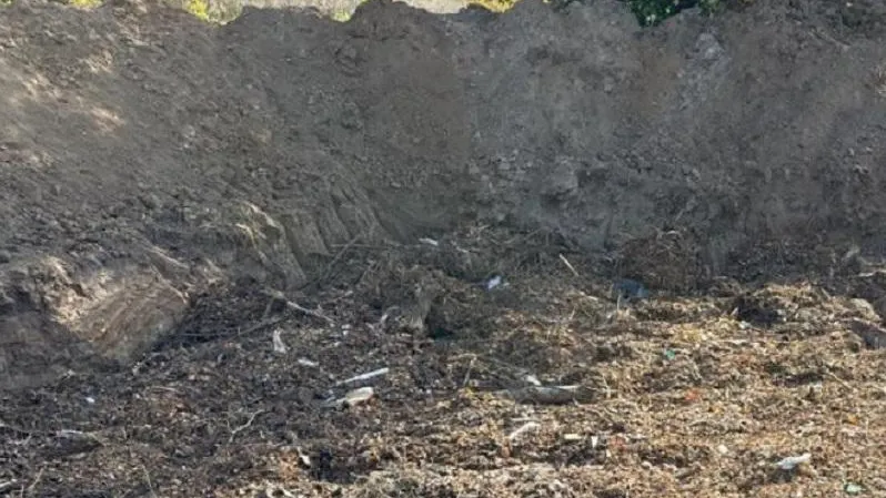 Фото Минэкологии МО.