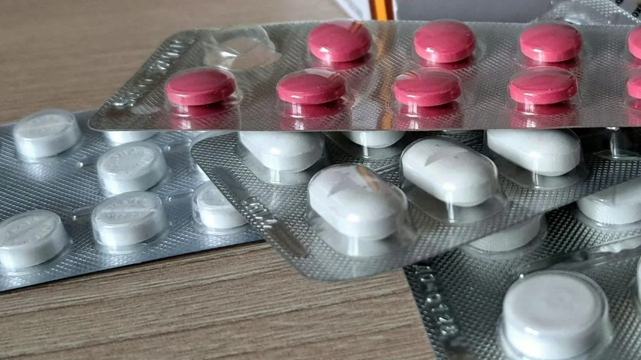 Фото: REGIONS/Татьяна Замятина