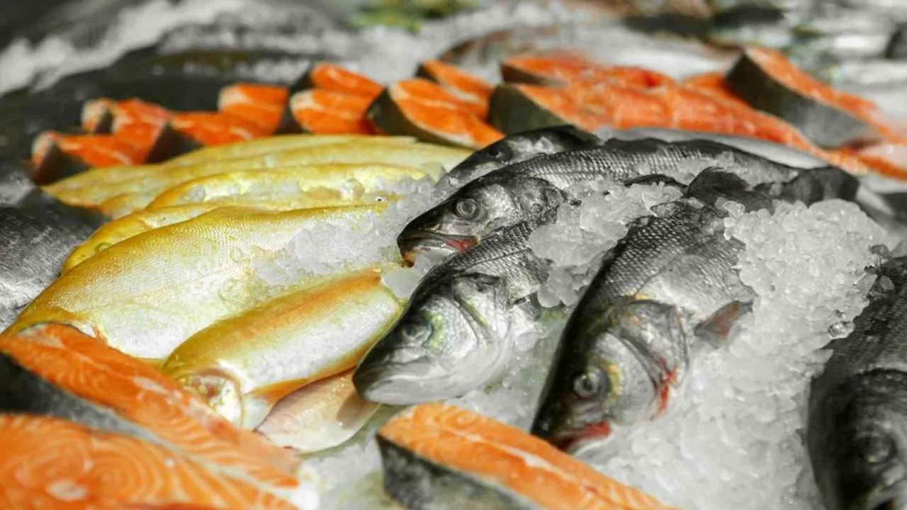 istockphoto.com/Ekaterina Oleshko