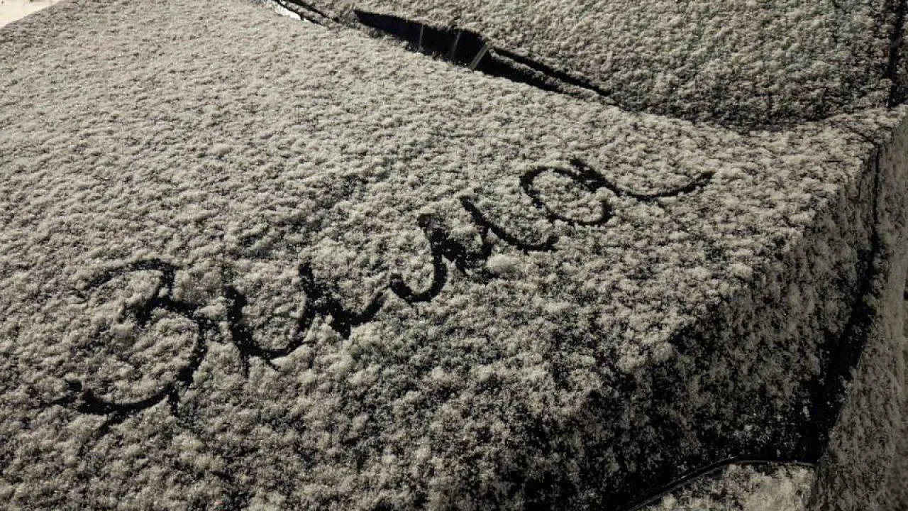 REGIONS/Евгения Макаренко