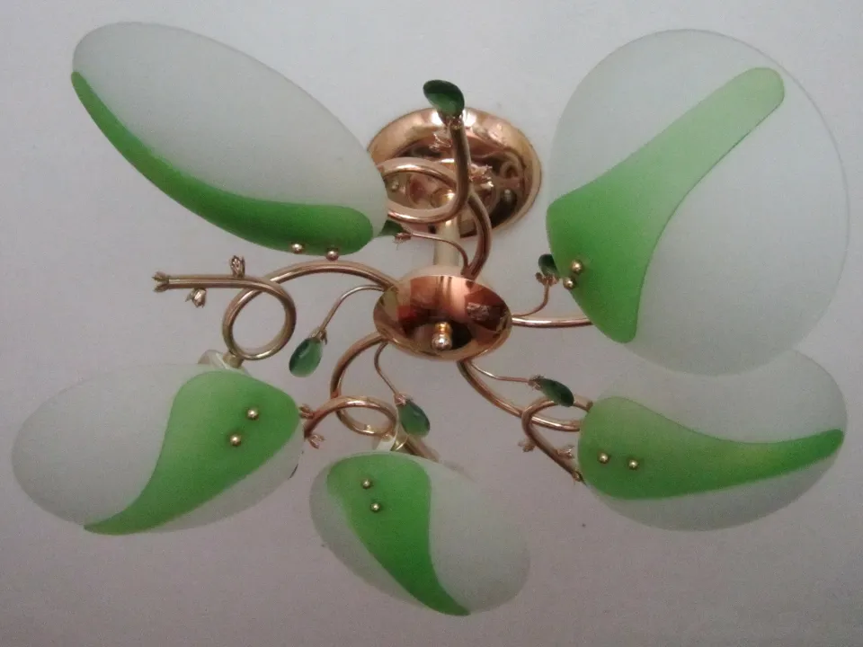 Фото: REGIONS/Олег Книжник