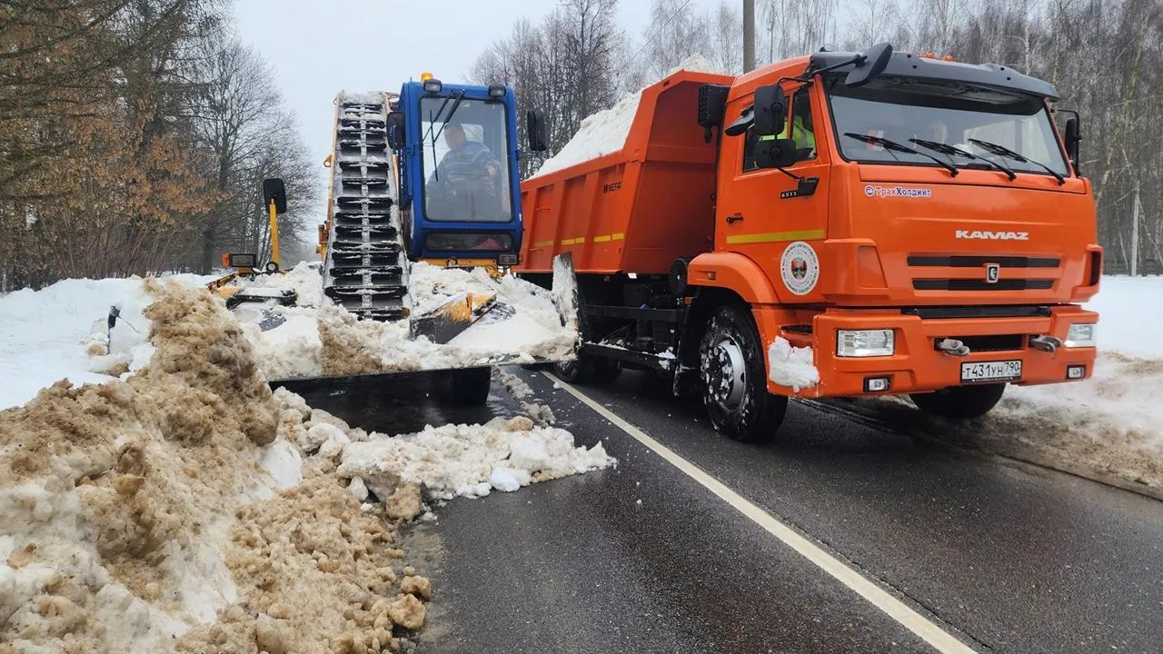 REGIONS/Анна Панина