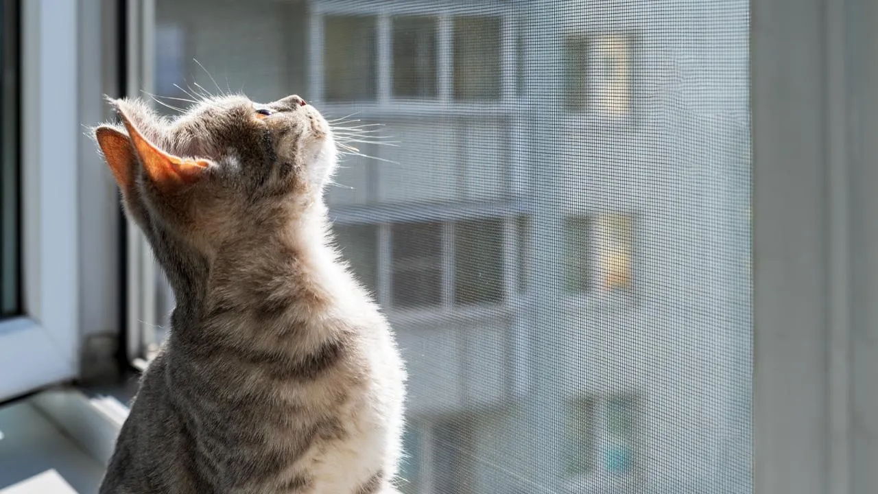 istockphoto.com/Olga Gubskaya