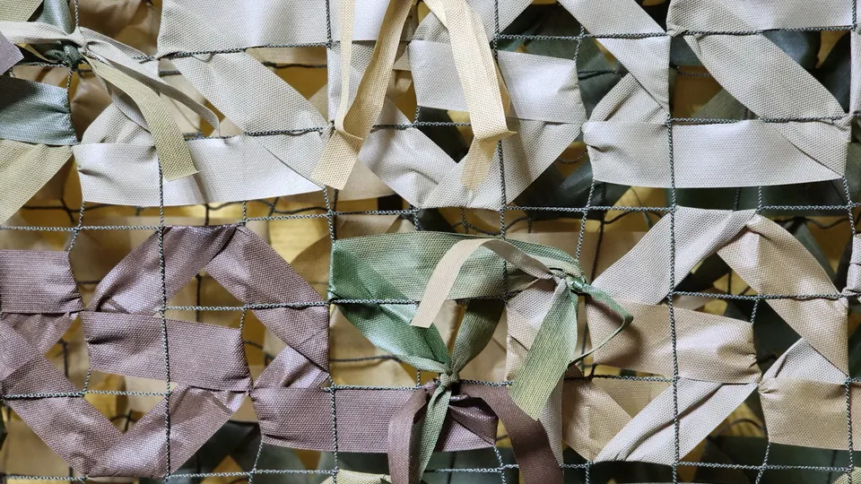 Фото: МедиаБанк Подмосковья/Ксения Пашуто