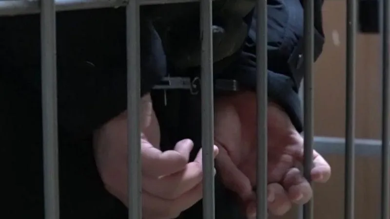 Убийцу студентки в Подмосковье приговорили к 14 годам лишения свободы