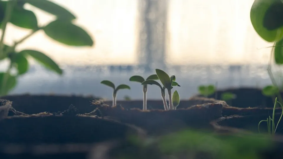 Фото: unsplash.com