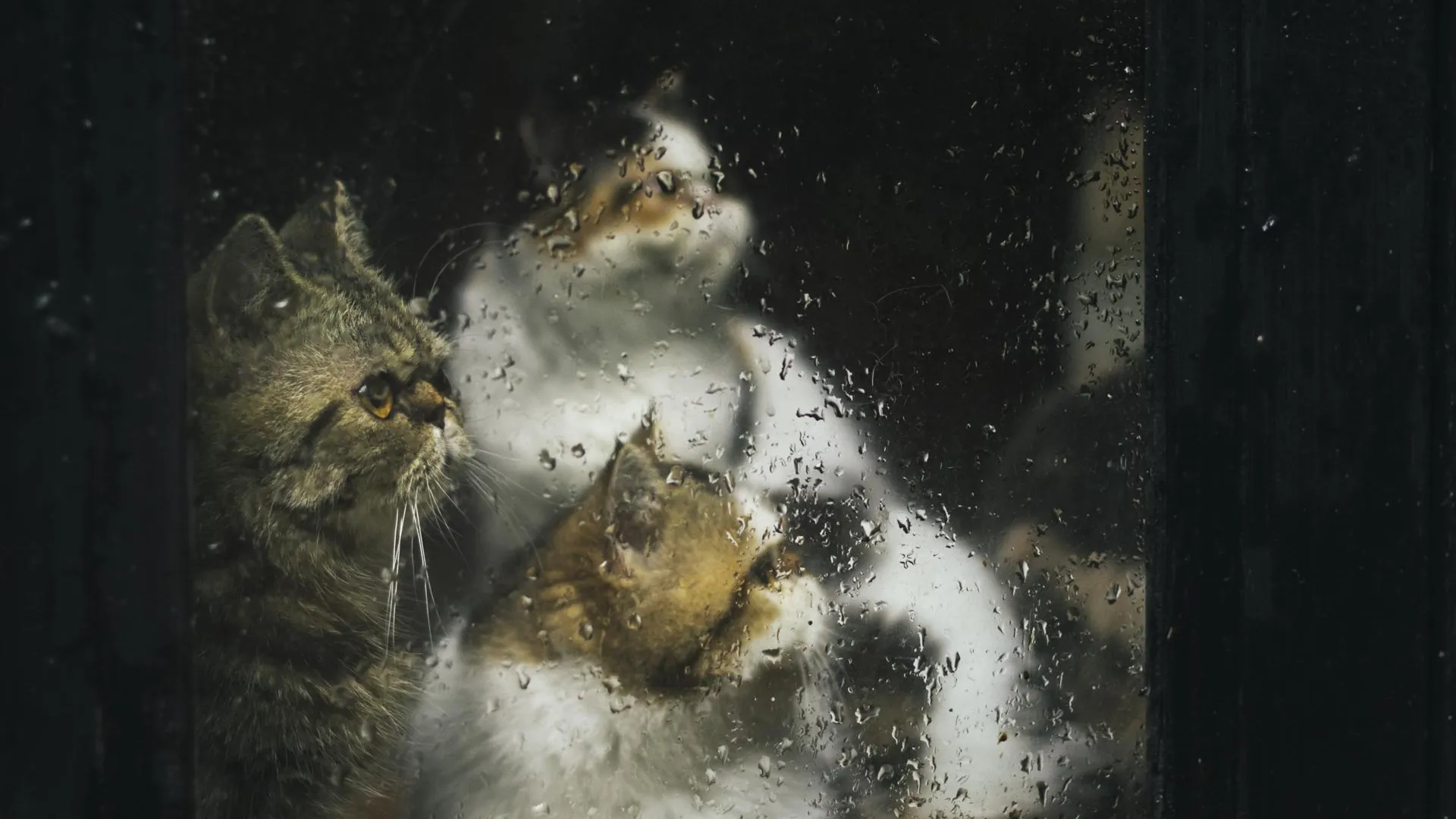 из открытых источников