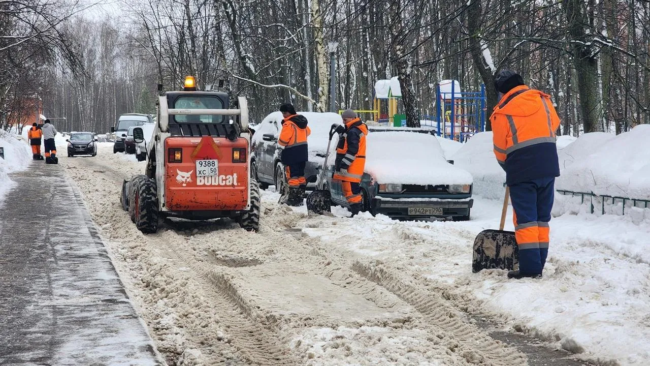 REGIONS/Анна Мороз