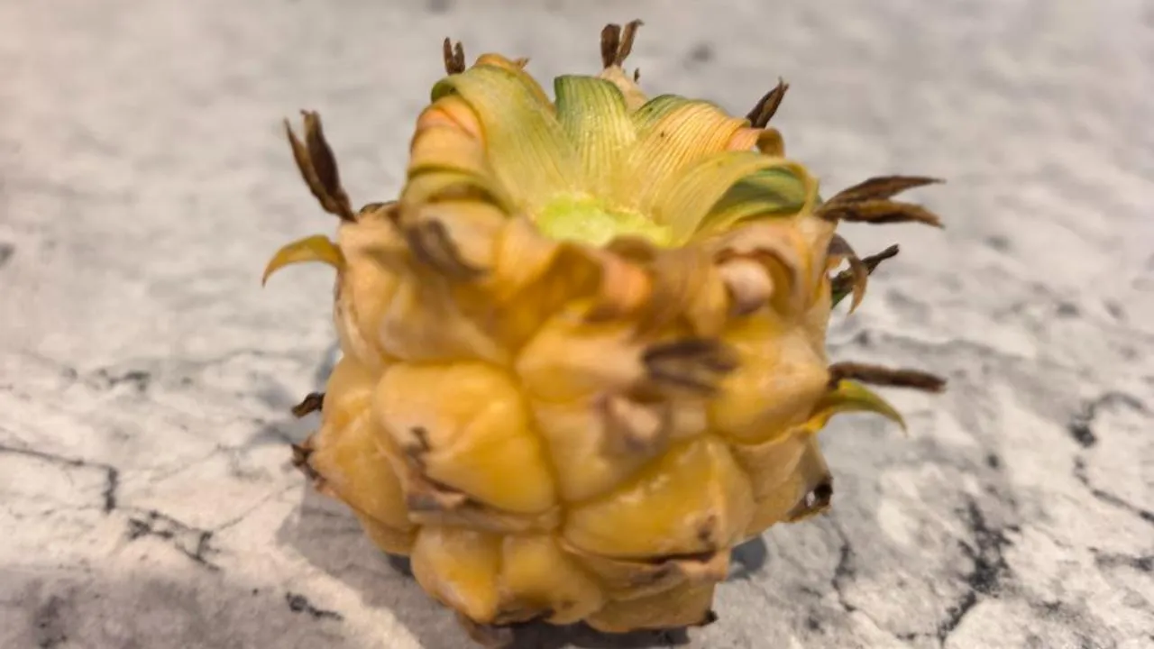 из личного архива Гульнары Ломакиной