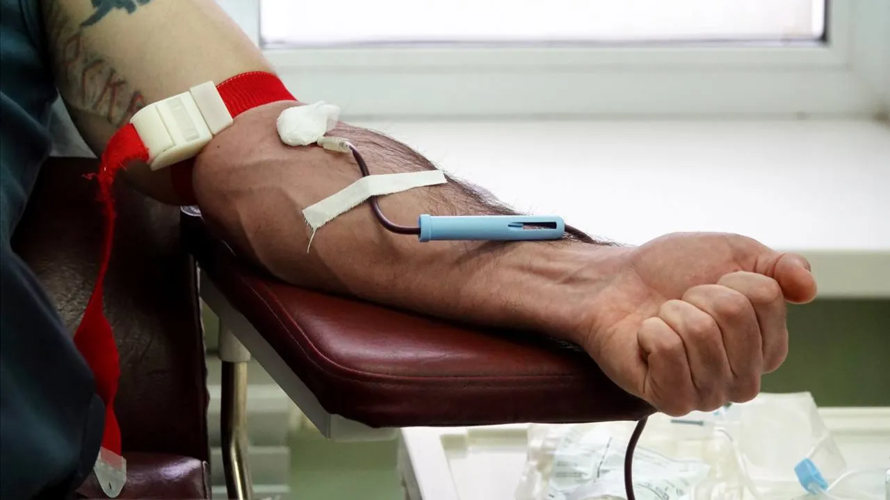 Фото: Дарья Леонова