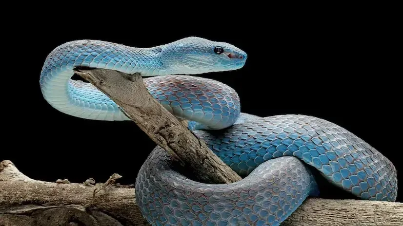 Источник: freepik