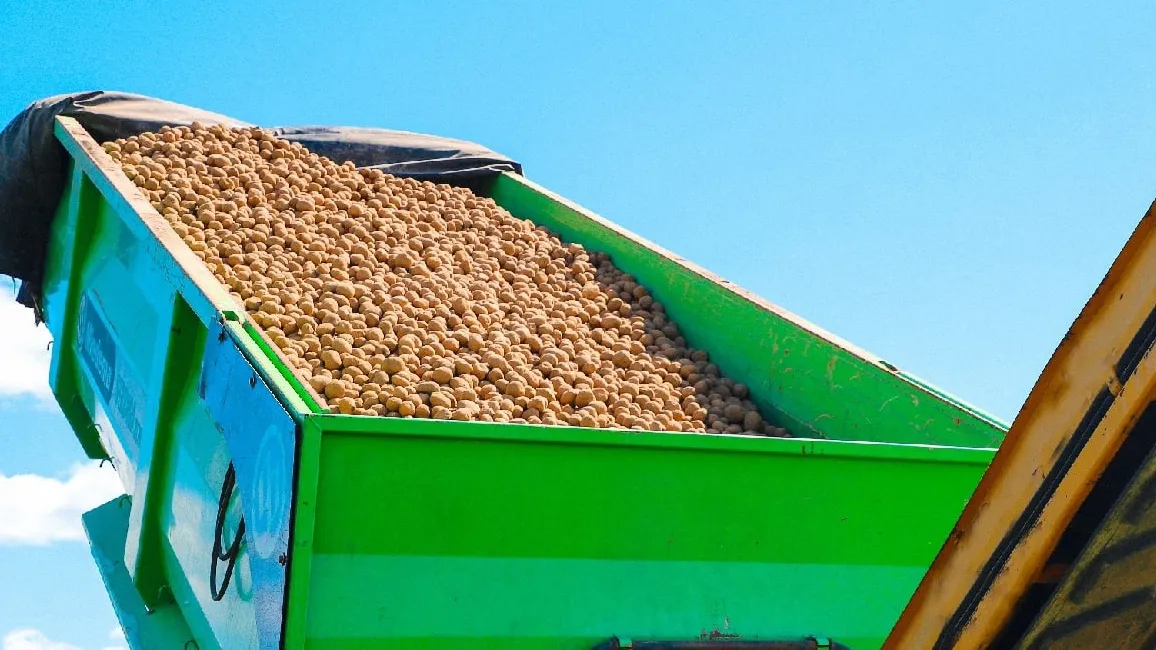 Фото: Оксана Лапшина