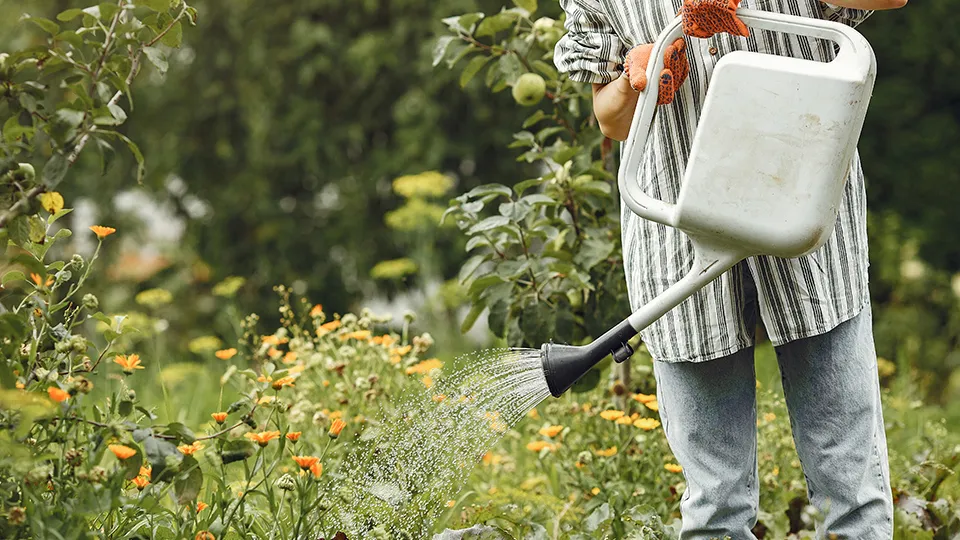 Фото: freepik.com