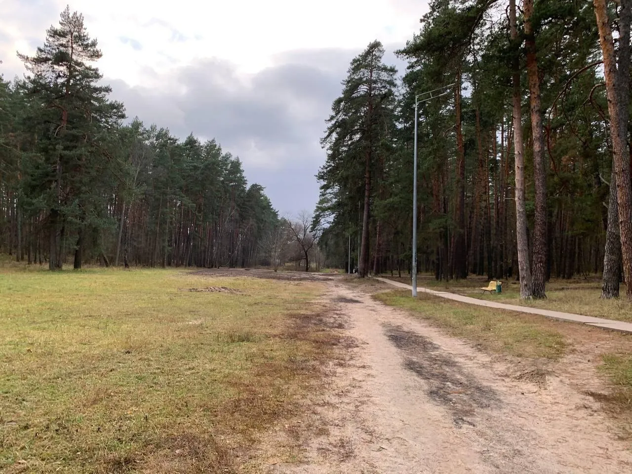 Фото: пресс-служба администрации Протвино