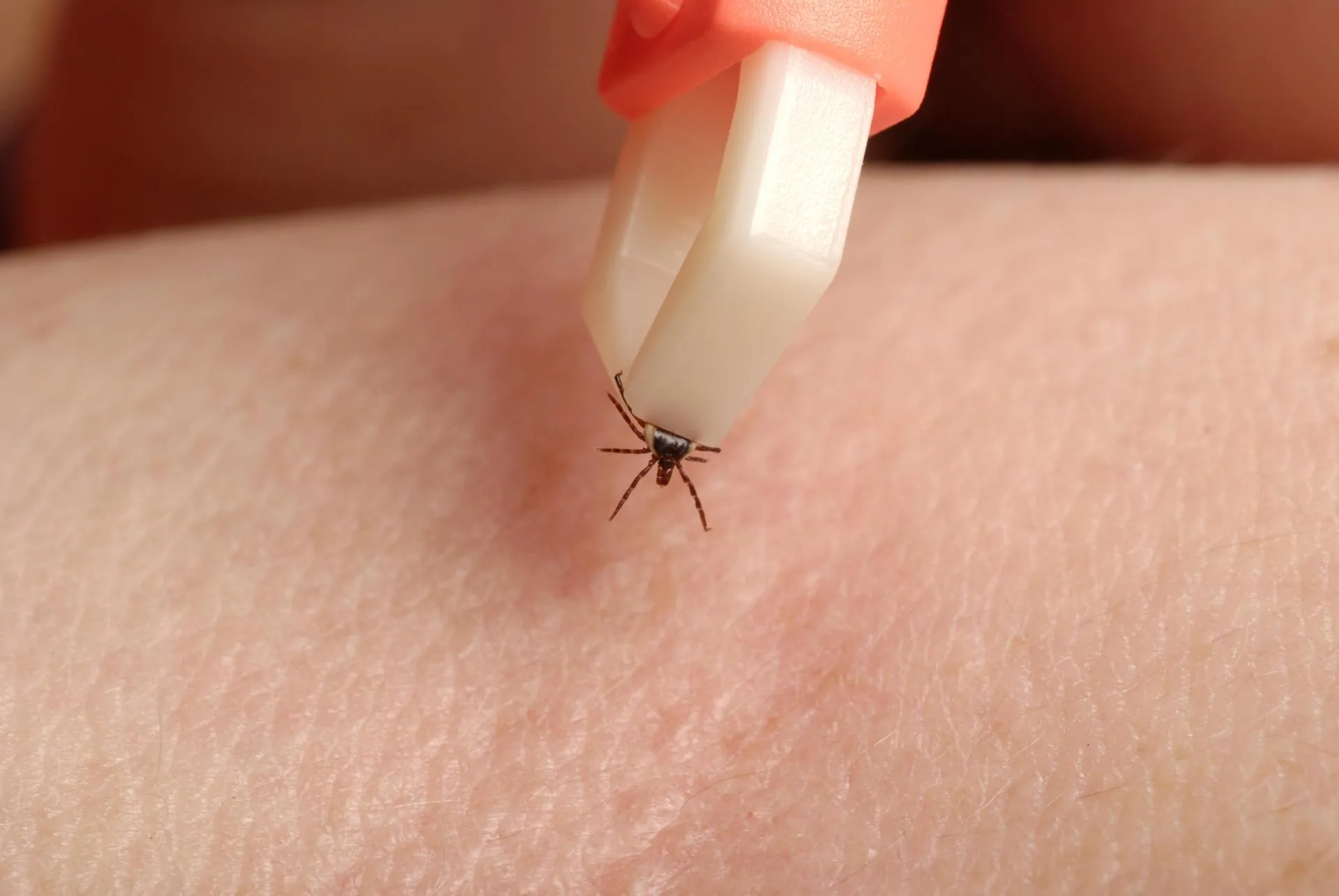 Ulrich Niehoff/http://imagebroker.com/#/search/