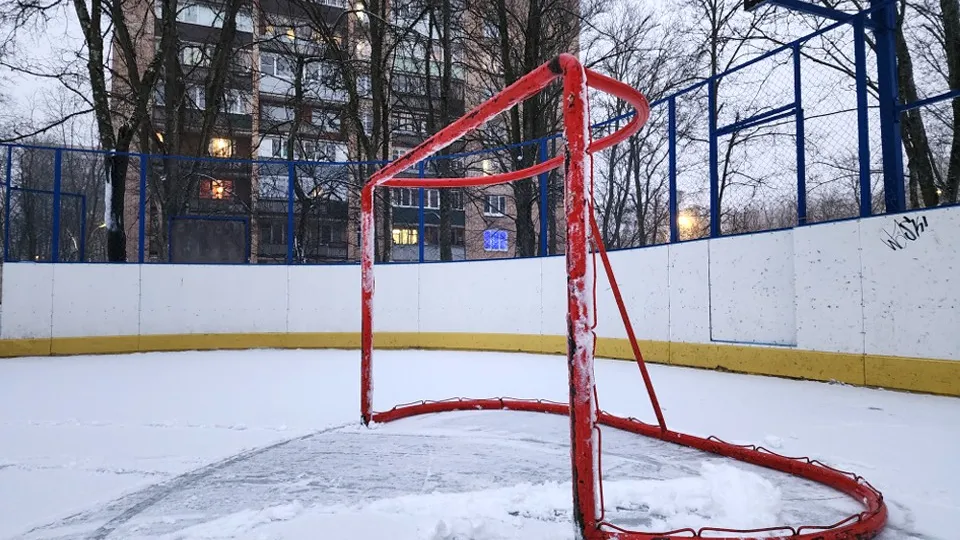 Фото: МедиаБанк Подмосковья/Иван Петрушин