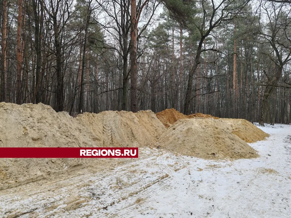 Фото: REGIONS/Юлия Павлова